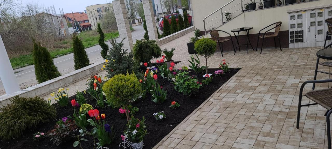 Casa Andi Apartament Năvodari Zewnętrze zdjęcie